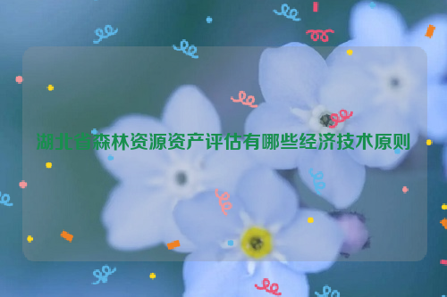 湖北省森林資源資產評估有哪些經濟技術原則
