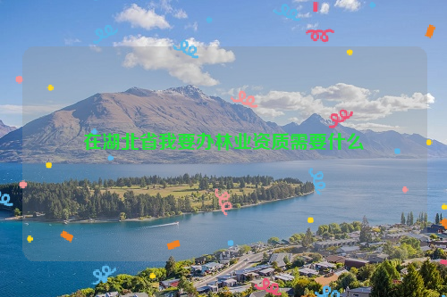 在湖北省我要辦林業資質需要什么