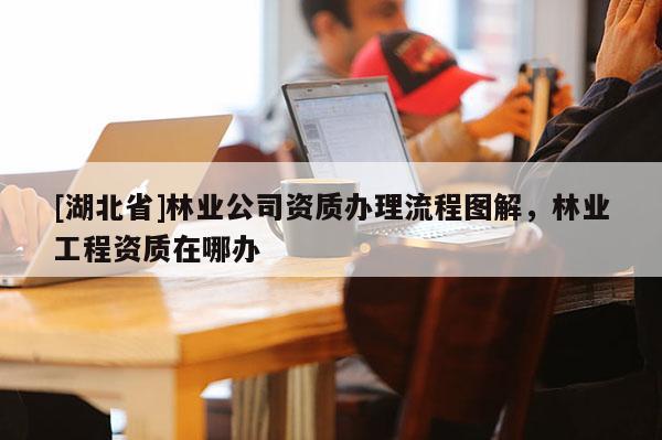 [湖北省]林業公司資質辦理流程圖解，林業工程資質在哪辦