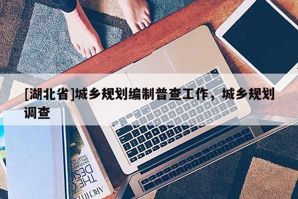 [湖北省]城鄉(xiāng)規(guī)劃編制普查工作，城鄉(xiāng)規(guī)劃調(diào)查