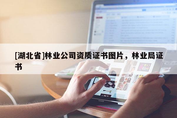 [湖北省]林業公司資質證書圖片，林業局證書