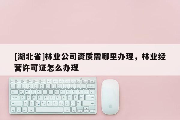 [湖北省]林業公司資質需哪里辦理，林業經營許可證怎么辦理