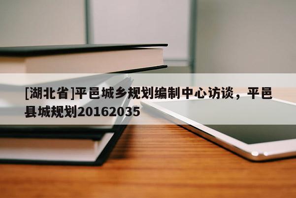 [湖北省]平邑城鄉規劃編制中心訪談，平邑縣城規劃20162035