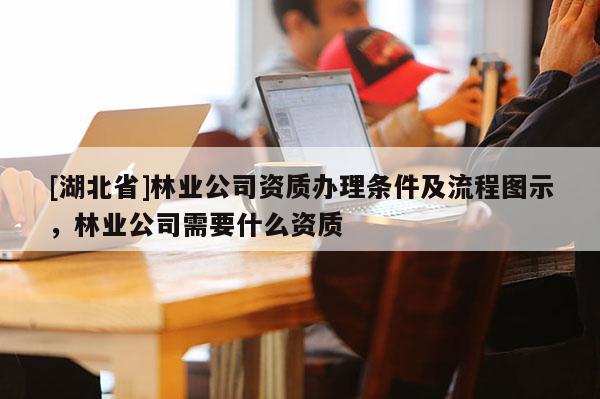 [湖北省]林業(yè)公司資質辦理條件及流程圖示，林業(yè)公司需要什么資質