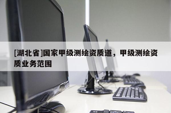 [湖北省]國家甲級測繪資質道，甲級測繪資質業務范圍