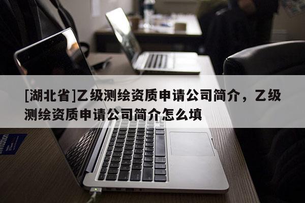 [湖北省]乙級測繪資質申請公司簡介，乙級測繪資質申請公司簡介怎么填