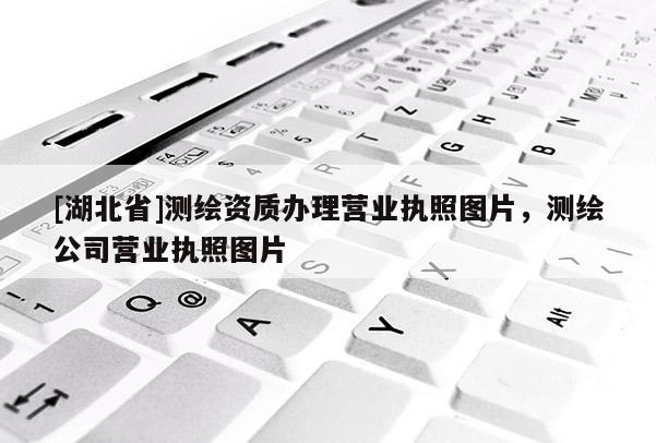 [湖北省]測繪資質辦理營業執照圖片，測繪公司營業執照圖片