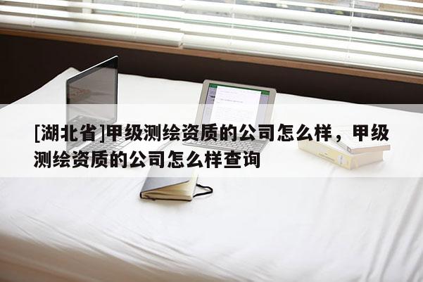 [湖北省]甲級測繪資質的公司怎么樣，甲級測繪資質的公司怎么樣查詢