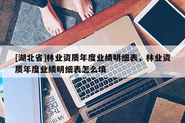 [湖北省]林業資質年度業績明細表，林業資質年度業績明細表怎么填