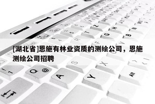 [湖北省]恩施有林業資質的測繪公司，恩施測繪公司招聘