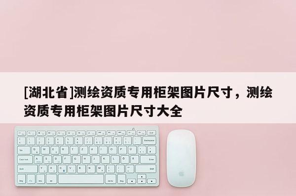 [湖北省]測(cè)繪資質(zhì)專用柜架圖片尺寸，測(cè)繪資質(zhì)專用柜架圖片尺寸大全