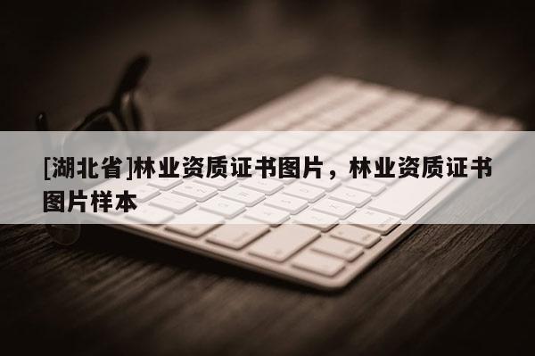 [湖北省]林業資質證書圖片，林業資質證書圖片樣本