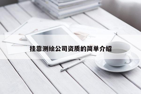 掛靠測繪公司資質的簡單介紹