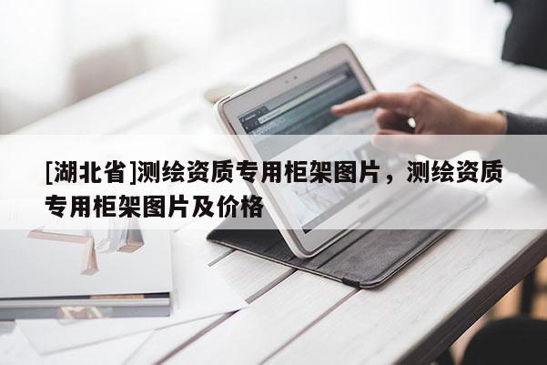 [湖北省]測繪資質(zhì)專用柜架圖片，測繪資質(zhì)專用柜架圖片及價格