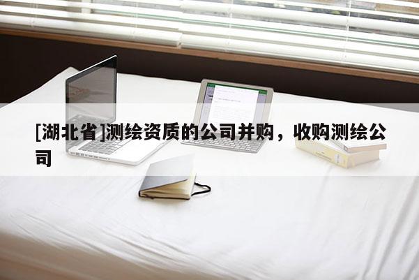 [湖北省]測(cè)繪資質(zhì)的公司并購(gòu)，收購(gòu)測(cè)繪公司