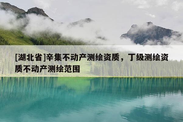 [湖北省]辛集不動產測繪資質，丁級測繪資質不動產測繪范圍