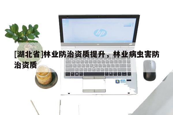 [湖北省]林業(yè)防治資質(zhì)提升，林業(yè)病蟲害防治資質(zhì)