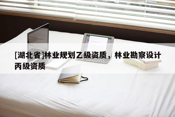 [湖北省]林業規劃乙級資質，林業勘察設計丙級資質