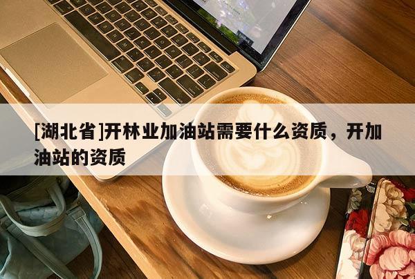 [湖北省]開林業加油站需要什么資質，開加油站的資質