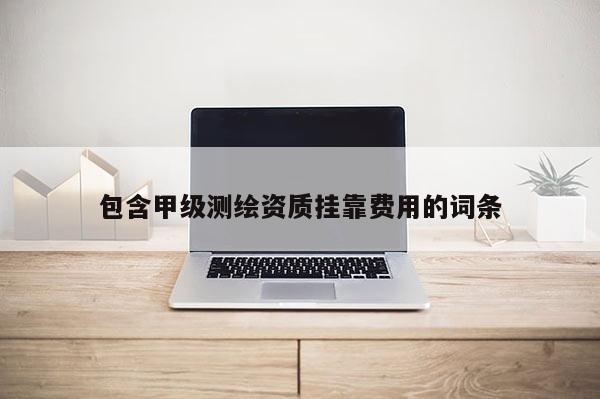 包含甲級測繪資質掛靠費用的詞條