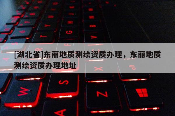 [湖北省]東麗地質測繪資質辦理，東麗地質測繪資質辦理地址