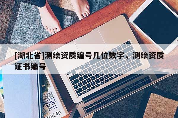 [湖北省]測繪資質編號幾位數字，測繪資質證書編號