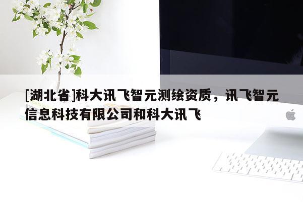 [湖北省]科大訊飛智元測繪資質，訊飛智元信息科技有限公司和科大訊飛
