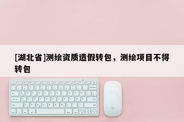 [湖北省]測繪資質造假轉包，測繪項目不得轉包