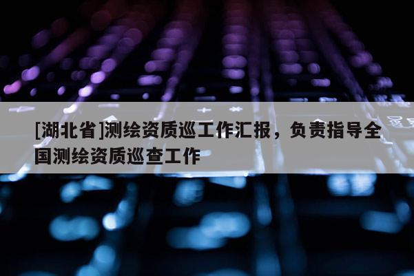 [湖北省]測繪資質巡工作匯報，負責指導全國測繪資質巡查工作