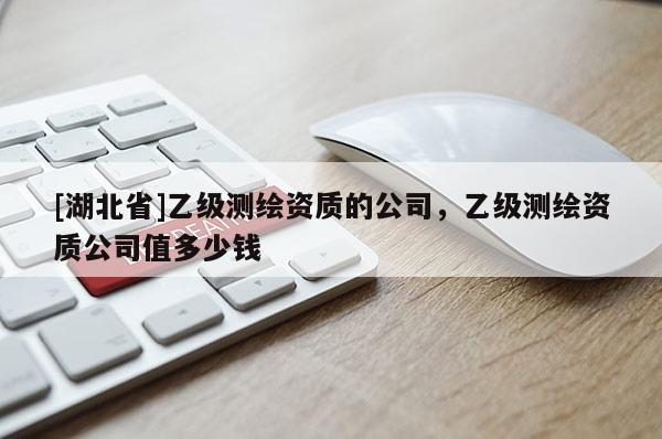 [湖北省]乙級測繪資質的公司，乙級測繪資質公司值多少錢