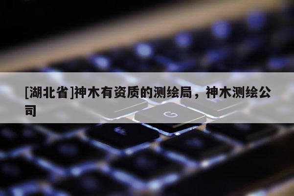 [湖北省]神木有資質(zhì)的測繪局，神木測繪公司