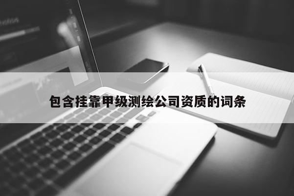 包含掛靠甲級測繪公司資質的詞條