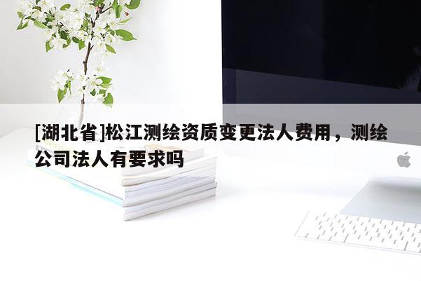 [湖北省]松江測繪資質變更法人費用，測繪公司法人有要求嗎
