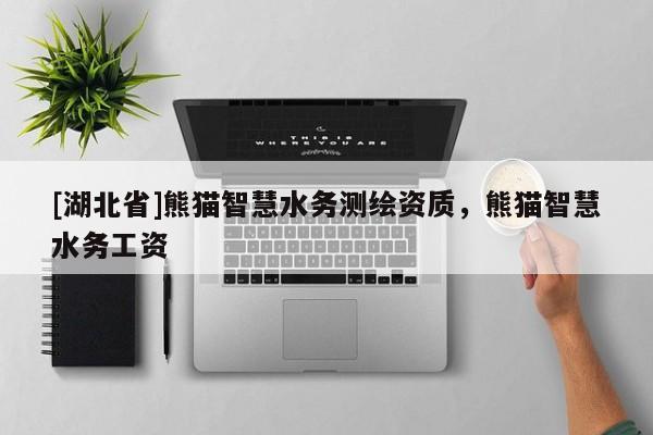 [湖北省]熊貓智慧水務測繪資質，熊貓智慧水務工資