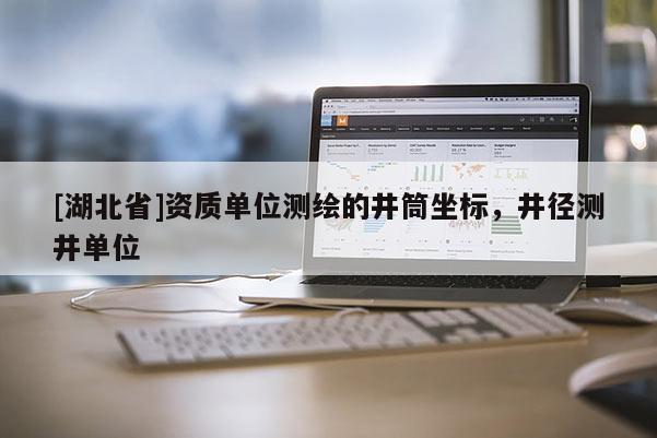 [湖北省]資質單位測繪的井筒坐標，井徑測井單位