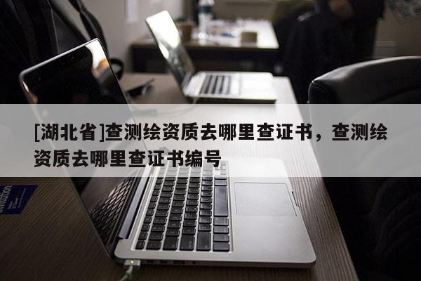 [湖北省]查測繪資質(zhì)去哪里查證書，查測繪資質(zhì)去哪里查證書編號