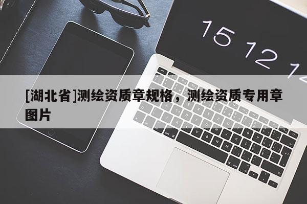 [湖北省]測繪資質章規格，測繪資質專用章圖片