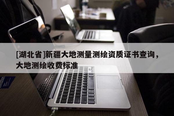 [湖北省]新疆大地測量測繪資質證書查詢，大地測繪收費標準