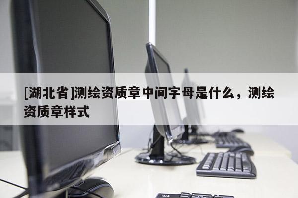 [湖北省]測繪資質章中間字母是什么，測繪資質章樣式