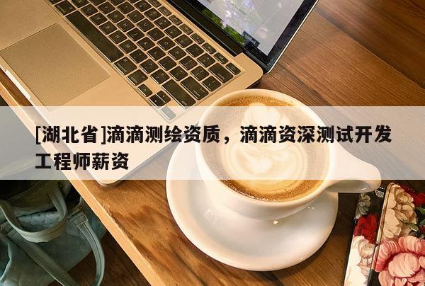[湖北省]滴滴測(cè)繪資質(zhì)，滴滴資深測(cè)試開(kāi)發(fā)工程師薪資