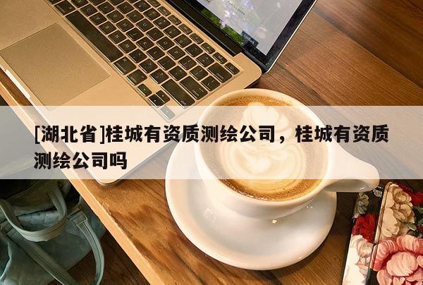 [湖北省]桂城有資質測繪公司，桂城有資質測繪公司嗎