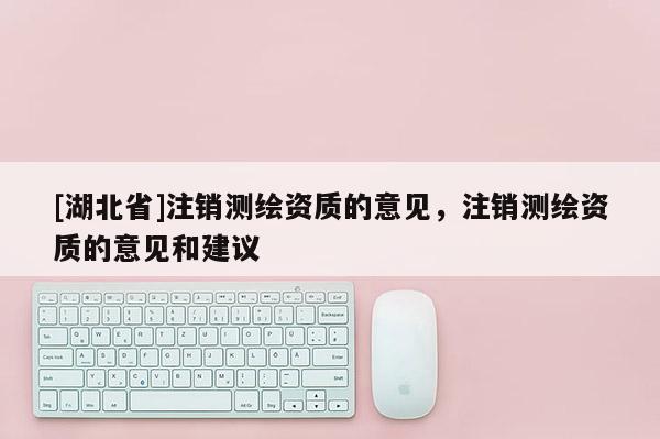 [湖北省]注銷測繪資質的意見，注銷測繪資質的意見和建議