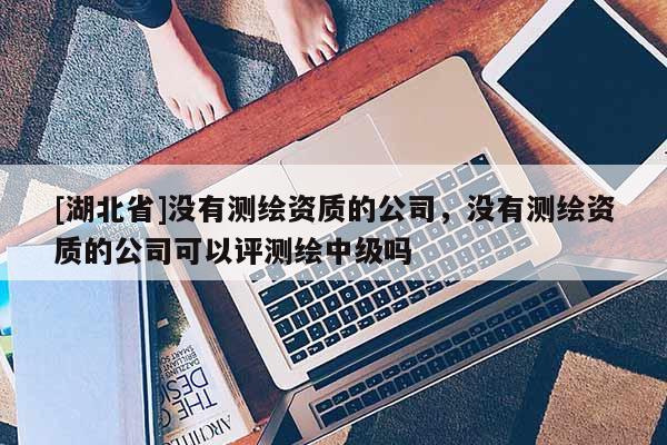 [湖北省]沒有測繪資質的公司，沒有測繪資質的公司可以評測繪中級嗎