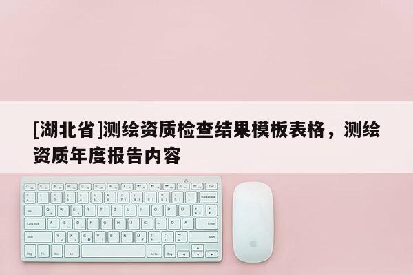 [湖北省]測繪資質檢查結果模板表格，測繪資質年度報告內容