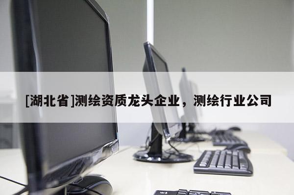[湖北省]測繪資質龍頭企業，測繪行業公司