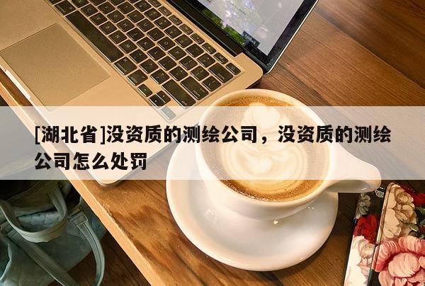 [湖北省]沒資質的測繪公司，沒資質的測繪公司怎么處罰