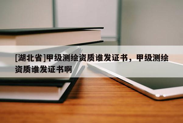 [湖北省]甲級測繪資質誰發證書，甲級測繪資質誰發證書啊