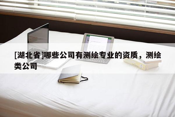 [湖北省]哪些公司有測繪專業的資質，測繪類公司