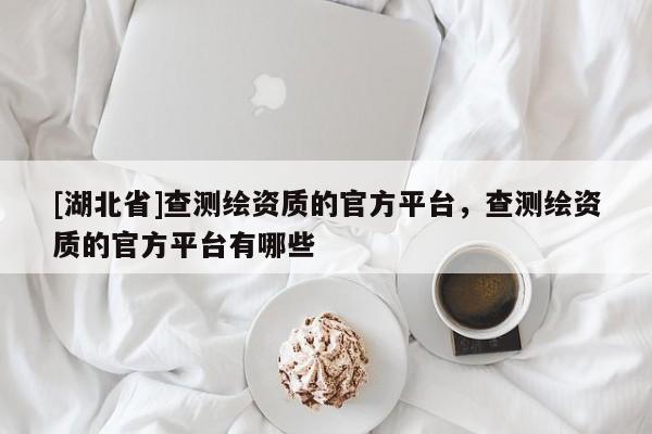 [湖北省]查測繪資質的官方平臺，查測繪資質的官方平臺有哪些