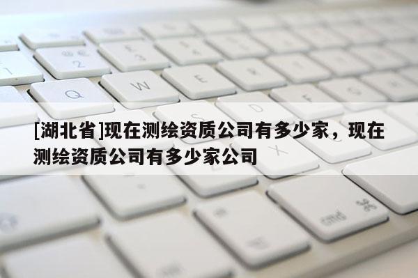 [湖北省]現在測繪資質公司有多少家，現在測繪資質公司有多少家公司